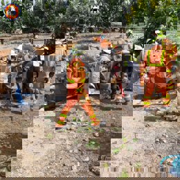 El conductor del tractor ha fallecido