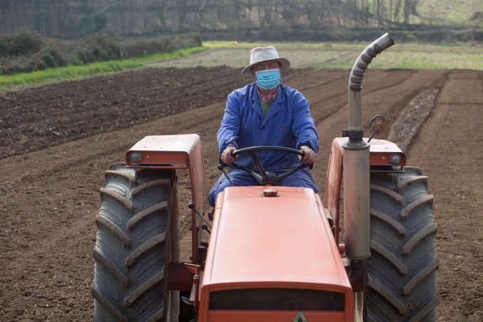 Archivo - Manuel Rodríguez ara sus fincas con el tractor y mascarilla para plantar patatas  en Lugo, Galicia (España), a 24 de marzo de 2021.