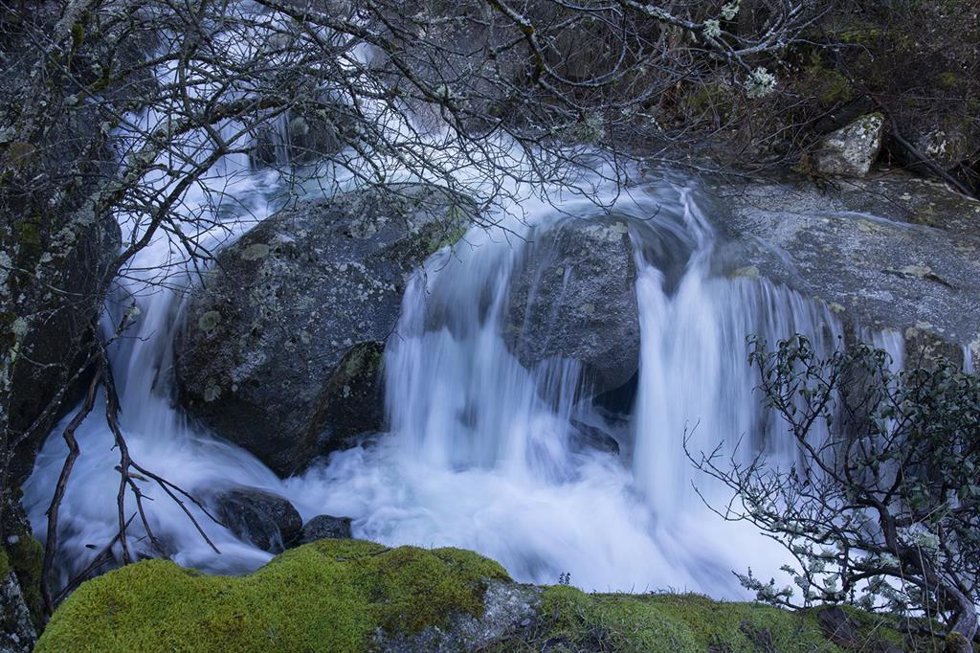 Archivo - Un detalle de un tramo en la cuenca alta del Río Manzanares, en la Sierra de Guadarrama, Madrid (España), a 8 de febrero de 2021.