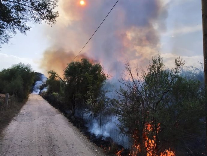 Declarado un incendio en el Torrent de Massanella (Selva).