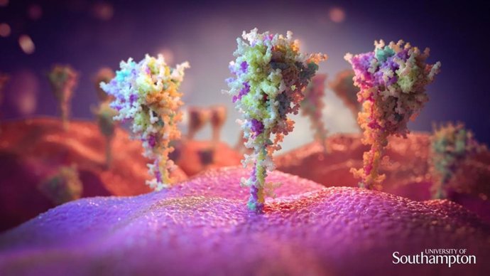 Archivo - Imagen del pico de proteína en la superficie de las células expuestas a la vacuna contra la COVID-19.