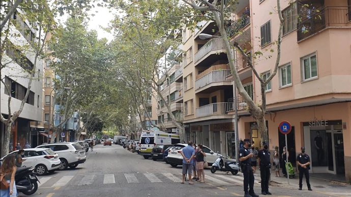 Árboles de Nuredduna que Cort va a talar.