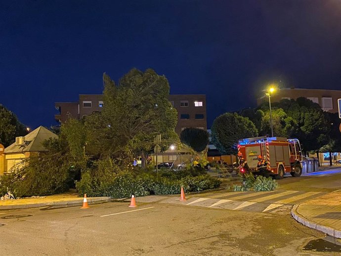 Daños provocados por las tormentas en Alcázar de San Juan.