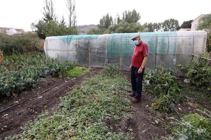 Una persona mira los desperfectos sufridos por las lluvias registradas, a 24 de agosto de 2021, en Guadalaviar, Teruel, Aragón, (España). Las últimas lluvias registradas la pasada tarde del lunes al sur de Teruel han provocado destrozos en los huertos d