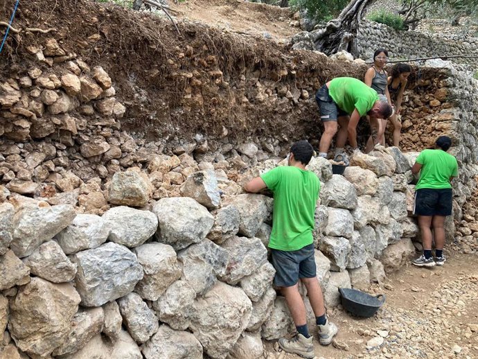 Jóvenes del campamento de voluntarios 'Recuperem s'Alova' trabajando en la 'pedra en sec'