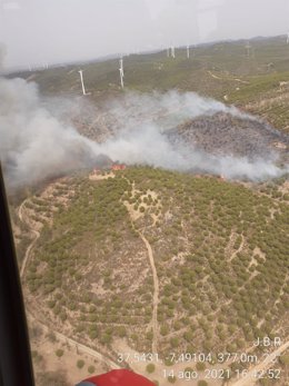 Incendio forestal en el paraje 'El Sardón' de El Granado (Huelva), declarado el pasado 14 de agosto.