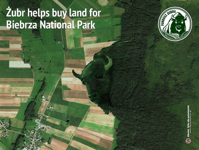 The Zubr beer brand helps buy land for Biebrza National Park in Poland to protect endangered species