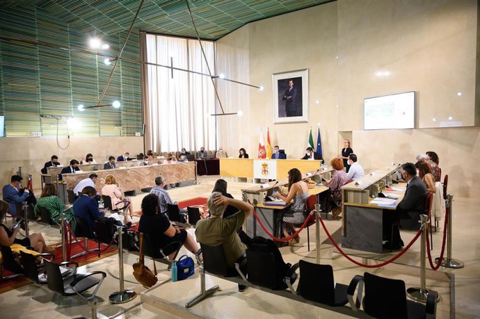 Archivo - Pleno en el Ayuntamiento de Almería.