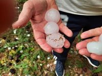 Asaja lamenta daños irreparables por granizo en campos de Toledo, Albacete y Ciudad Real