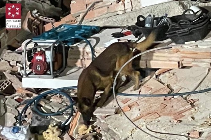 Un perro de la Unidad Canina de Bomberos en la zona del derrumbe de Peñíscola