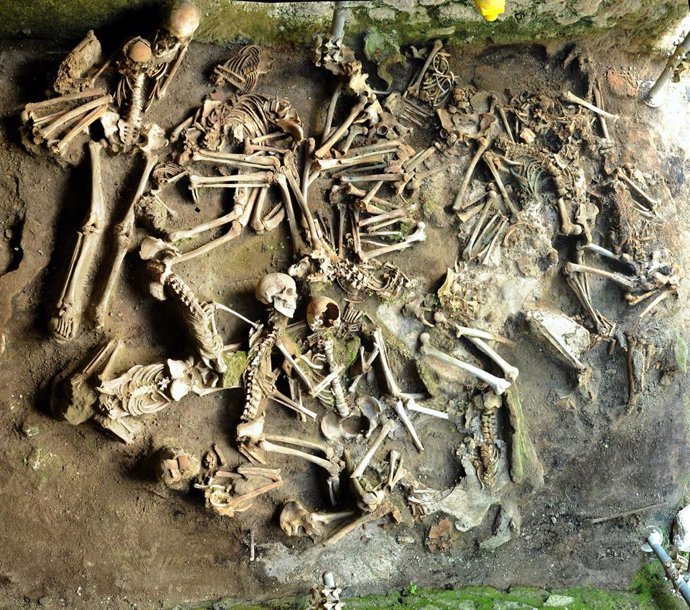 Archivo - Restos óseos examinados por los arqueólogos para el estudio