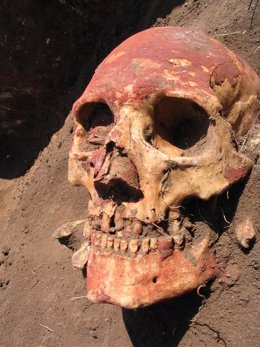 Archivo - Cráneo humano Edad de Bronce de la cultura Yamnaya pintado con ocre rojo