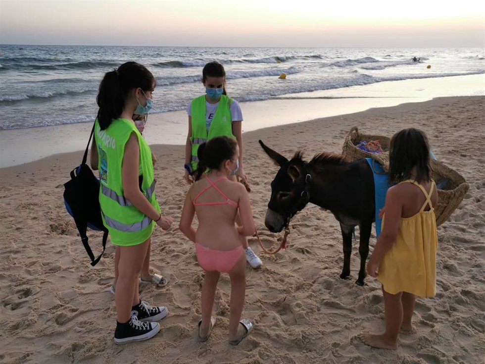 Los animales de la asociación 'El burrito feliz' en una limpieza en la playa el pasado año.