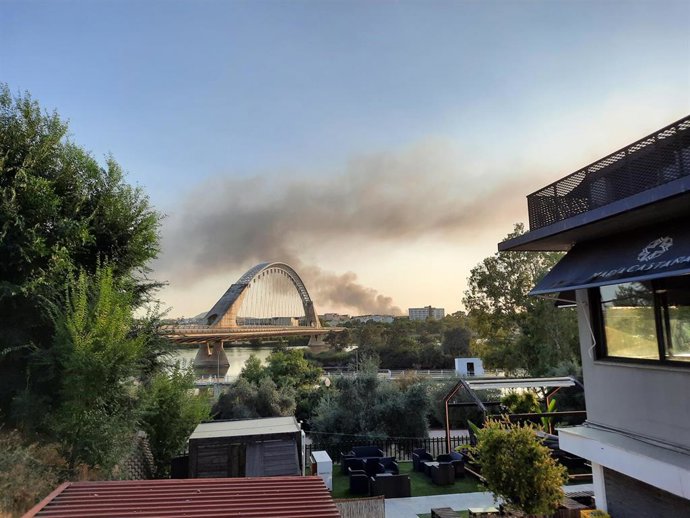 Columna de humo del incendio en la central hortofrutícola visible desde Mérida