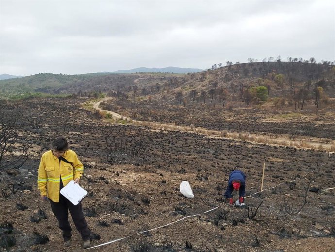 Incendio en la provincia de Albacete