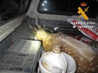 Dos investigados acusados de caza furtiva tras haber abatido un gamo en Andújar (Jaén)