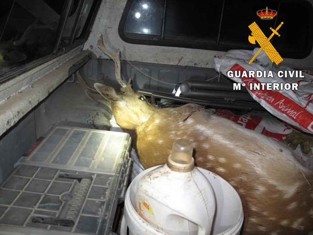 Gamo abatido en el interior del vehículo que fue interceptado