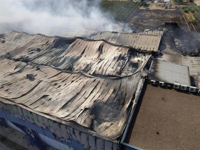 Estado de la planta hortofrutícola "El Escobar" cerca de Mérida tras el incendio