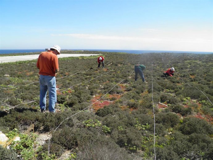 Archivo - Técnicos de Medio Ambiente trabajan en la Isla de Alborán         