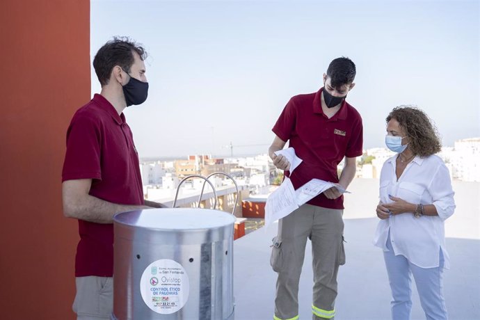 Archivo - Ayuntamiento de San Fernando (Cádiz) implanta sistema ético de control de palomas urbanas mediante pienso anticonceptivo