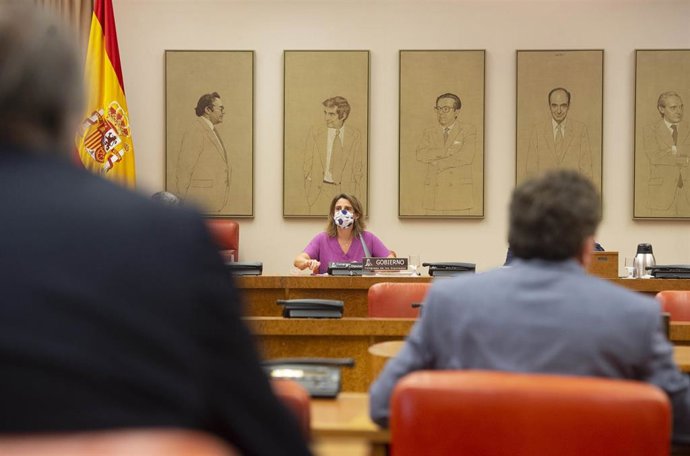 Archivo - La vicepresidenta cuarta del Gobierno y ministra de Transición Ecológica y Reto Demográfico, Teresa Ribera, comparece en la Comisión de Transición Ecológica y Reto Demográfico del Congreso