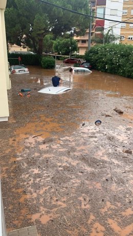 Vídeo de la noticia