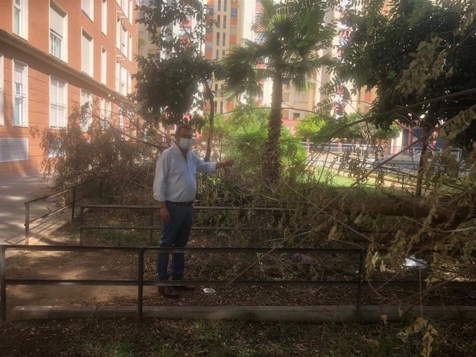 Archivo - Viista de Flores al distrito