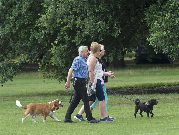 LA DEMANDA DE ADIESTRADORES DE PERROS SE HA INCREMENTADO HASTA UN 80% EN 2021