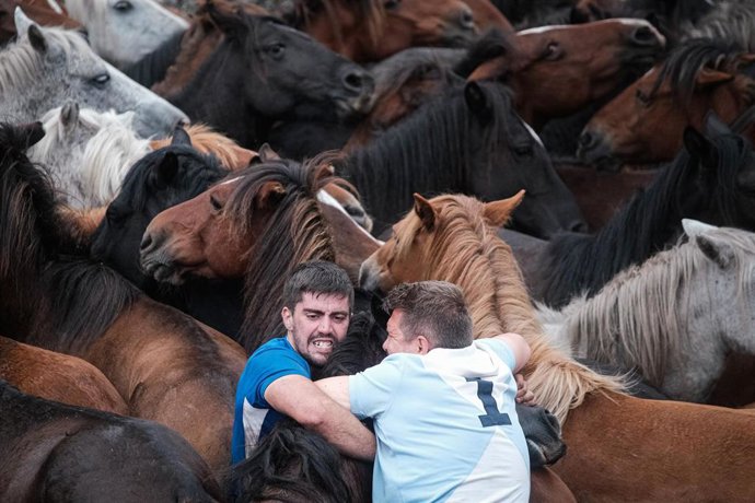 Caballos y aloitadores en las fiestas de la Rapa das Bestas de Sabucedo, en A Estrada, Pontevedra