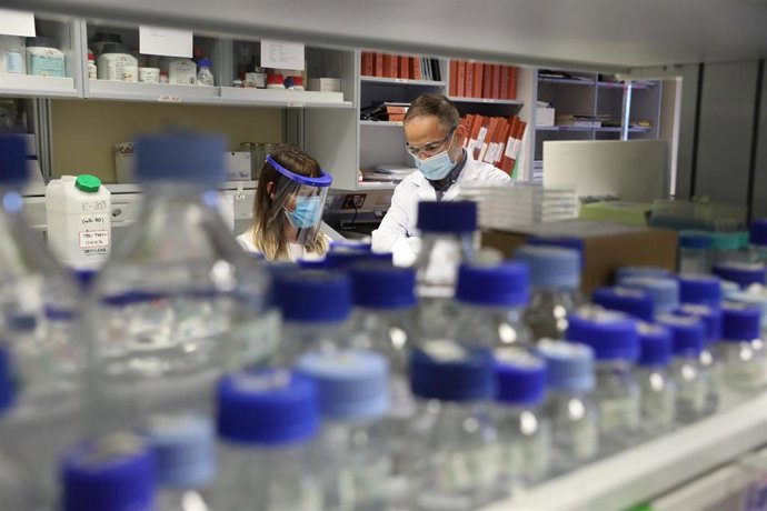 Archivo - Dos biólogos en un laboratorio, foto de recurso.