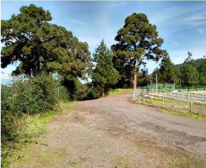 Camino La Represa, en La Orotava