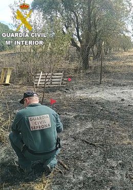 Agente del Seprona de la Guardia Civil.