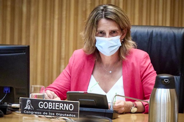 La ministra de Transición Ecológica y Reto Demográfico, Teresa Ribera, preside una Comisión de Transición Ecológica y Reto Demográfico, a 30 de agosto de 2021, en Madrid, (España). Su intervención tiene como objetivo informar sobre los precios de la ele