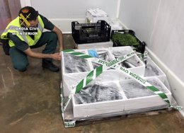 Guardia Civil interviene más de 100 kilos de vario