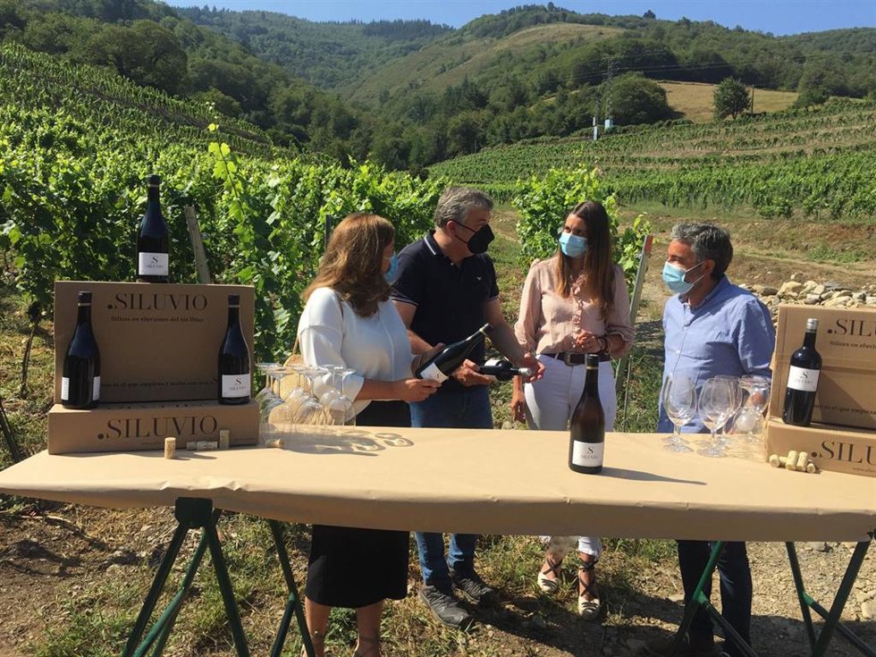 El consejero Alejandro Calvo visita las instalaciones de una bodega en Ibias