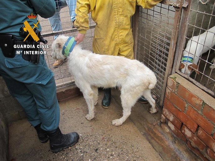 La Guardia Civil durante una de las investigaciones practicadas