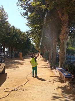 Operario realizando labores de fumigación en Carmona (Sevilla)