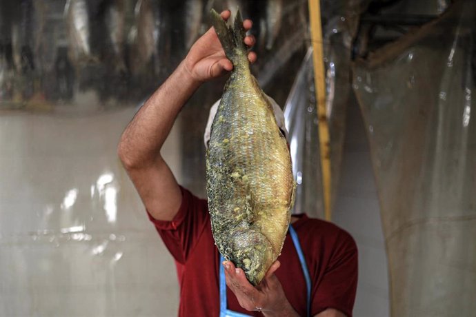 Archivo - Un palestino prepara el pescado para su venta en la Franja de Gaza.