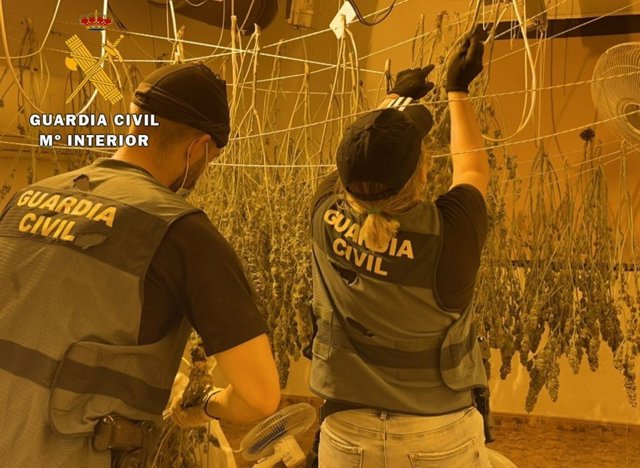 Marihuana intervenida en Roquetas de Mar (Almería).