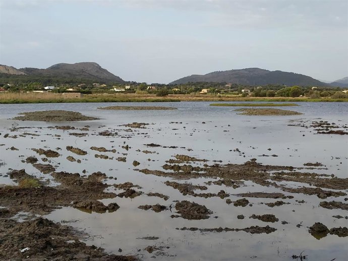 La Reserva Natural de s'Albufereta.