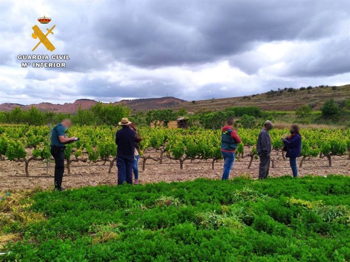 Detenido en Autol un empresario tras un accidente laboral que sufrió un trabajador sin contrato y en situación irregular