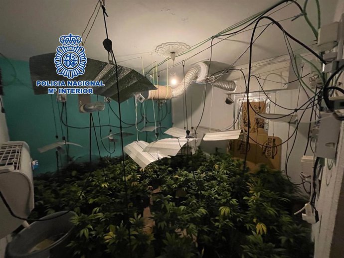 Marihuana hallada en una vivienda de la calle Pancho de Almería.
