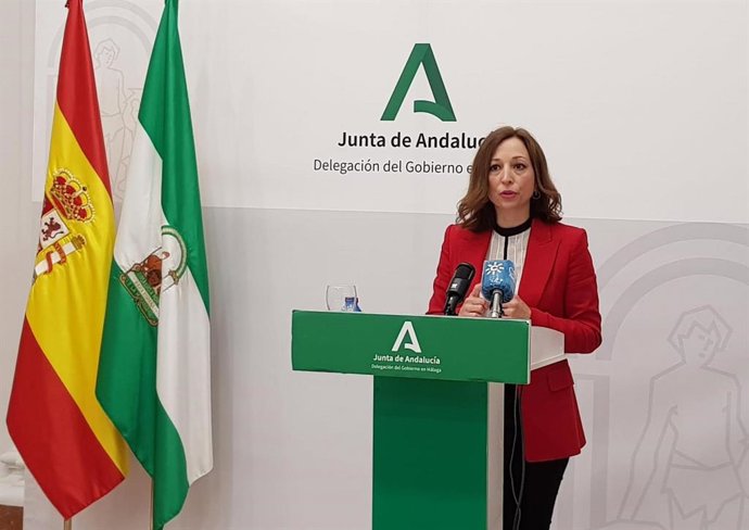 Archivo - Málaga.- Cvirus.- Navarro dice que si "tuviéramos la media de camas" que tiene Madrid se podrían relajar restricciones  