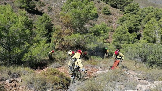 Efectivos apagan un conato de incendio provocado por un rayo en Fuente Álamo