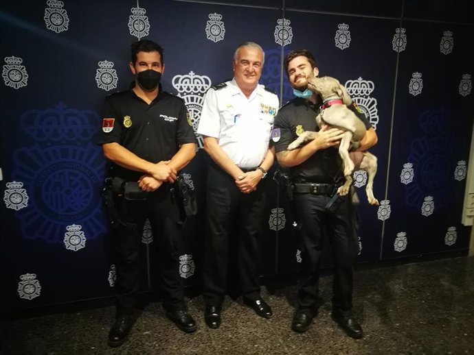 La perra policía 'Gray' con agentes del Cuerpo Nacional de Seguridad.
