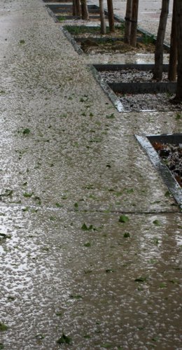 Archivo - Granizo en la región, en una foto de archivo