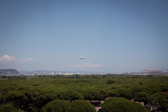 Archivo - Un avión vuela cerca del espacio protegido natural de La Ricarda, a 9 de junio de 2021, en El Prat de Llobregat, Barcelona, Catalunya (España)