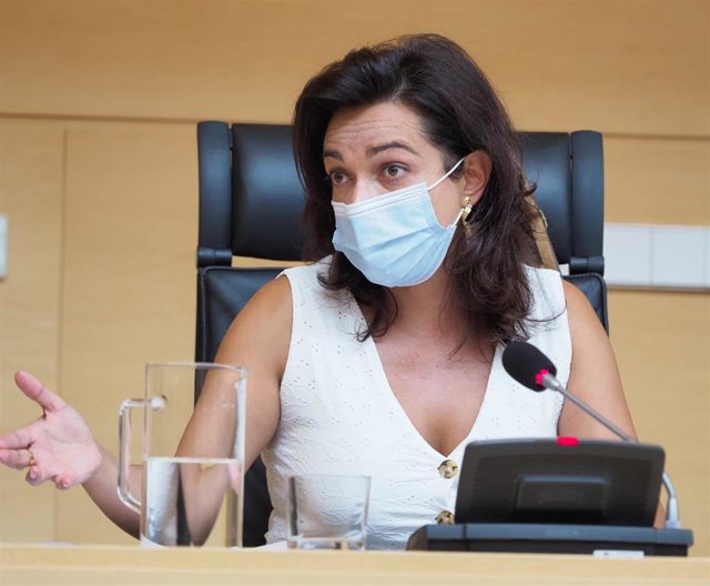 La procuradora del Grupo Socialista Alicia Palomo, en la Comisión de Transparencia, Ordenación del Territorio y Acción Exterior.