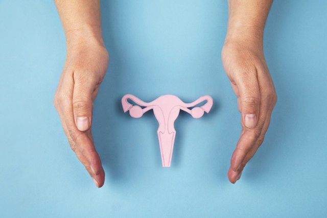 Archivo - Sistema reproductivo femenino y manos
