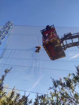 Rescate búho real Marbella